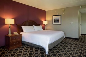 Hilton Garden Inn Auburn Riverwatch