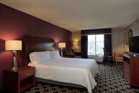 Hilton Garden Inn Auburn Riverwatch