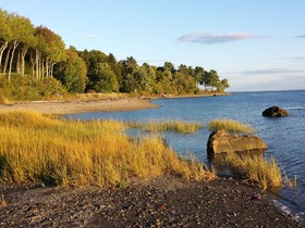 Belfast Harbor Inn
