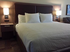 Belfast Harbor Inn