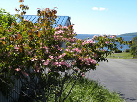 Colonial Gables Oceanfront Village
