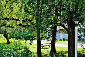 White Anchor Inn