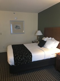Best Western Plus Brunswick Bath