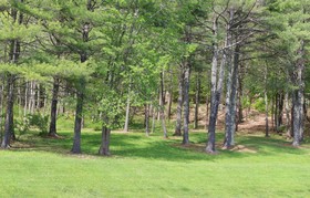 Bucksport Inn