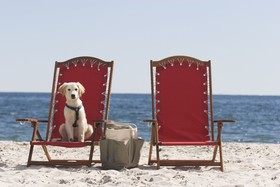 Inn by the Sea