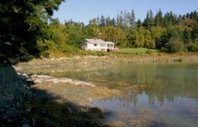 Heron Watch Tidal Cove