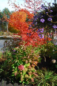 Cod Cove Inn Edgecomb