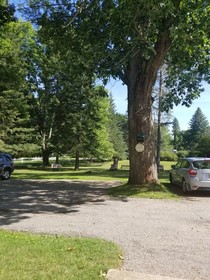 Farmstead Bed & Breakfast
