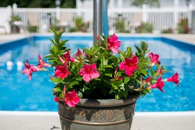 Port Inn & Suites Kennebunk, Ascend Hotel Collection