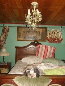 Enchanted Nights Bed & Breakfast