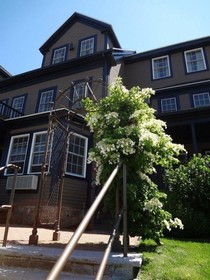 Sea Rose Suites