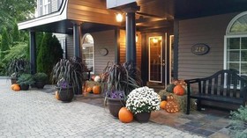 Sea Rose Suites