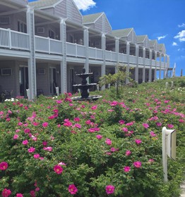Ocean Walk Hotel