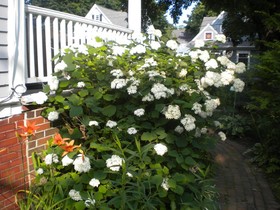 Fleetwood House Bed & Breakfast