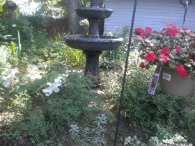 Fleetwood House Bed & Breakfast