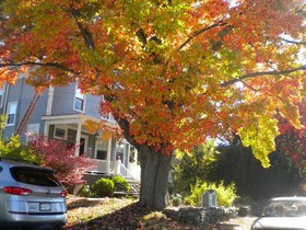 Fleetwood House Bed & Breakfast