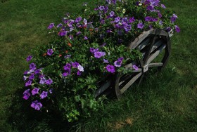 Country Inn at Camden Rockport