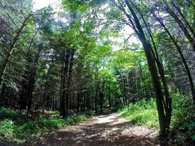 Camp Deep Creek