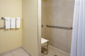 Holiday Inn Baltimore-Inner Harbor (Downtown)