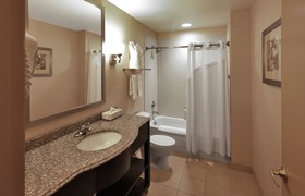 Holiday Inn Express Baltimore-Downtown