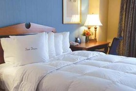 Inn at The Colonnade Baltimore - a DoubleTree by Hilton Hotel