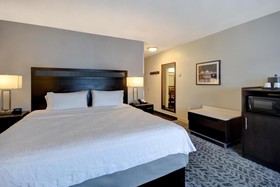 Hampton Inn and Suites Columbia South