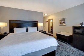 Hampton Inn and Suites Columbia South