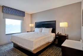 Hampton Inn and Suites Columbia South