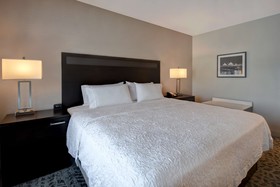 Hampton Inn and Suites Columbia South