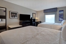 Hampton Inn and Suites Columbia South