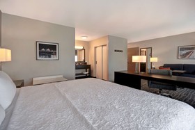 Hampton Inn and Suites Columbia South