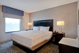 Hampton Inn and Suites Columbia South
