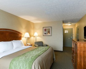 Comfort Inn Grantsville