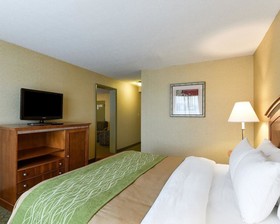 Comfort Inn Grantsville