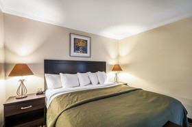 Quality Suites