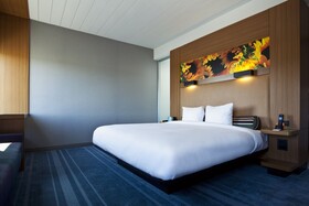 Aloft BWI Baltimore Washington International Airport