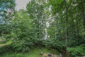 Misty Creek House