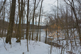 Misty Creek House