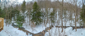 Streamside House