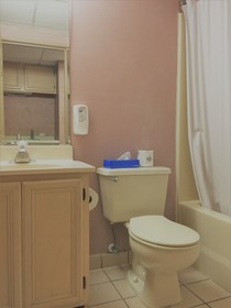 Americana Motor Inn
