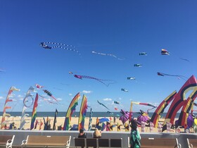 Boardwalk Terrace