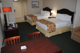The Spinnaker