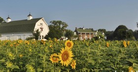 Inn at Huntingfield Creek