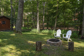 In The Pines