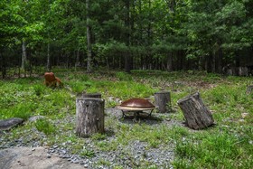 Possum Trot Lodge Holiday Home