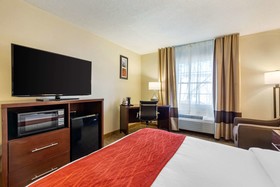 Comfort Inn Auburn