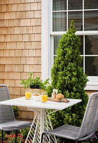 The Edgartown Inn