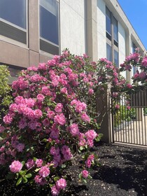Hampton Inn New Bedford/Fairhaven