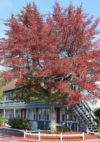 Red Horse Inn