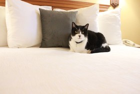TownePlace Suites Haverhill